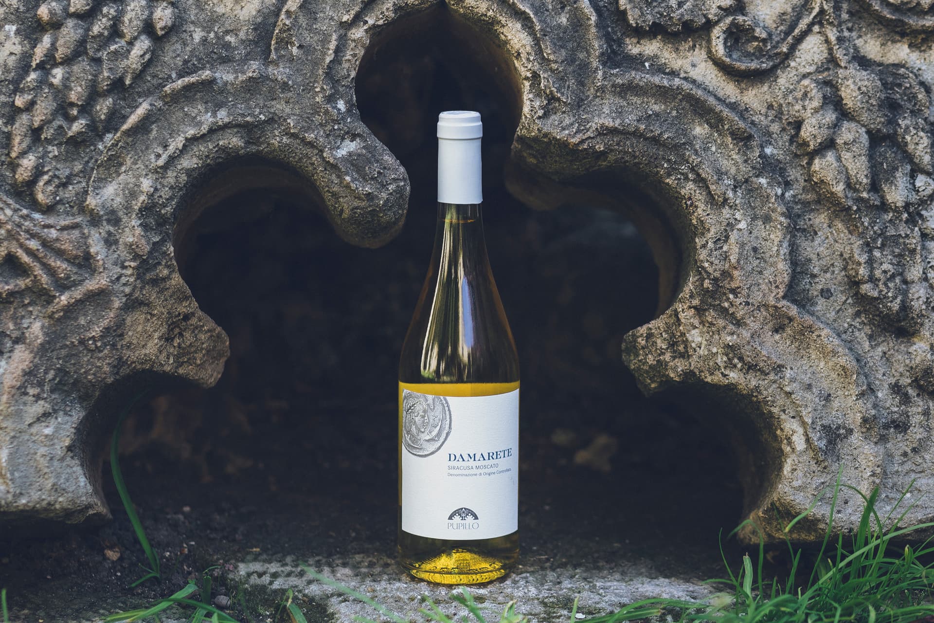 Pupillo Winery foto 2