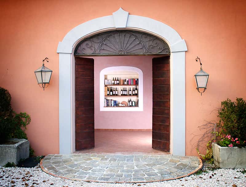 Degustación de matices de Verdicchio en Tenuta di Tavignano