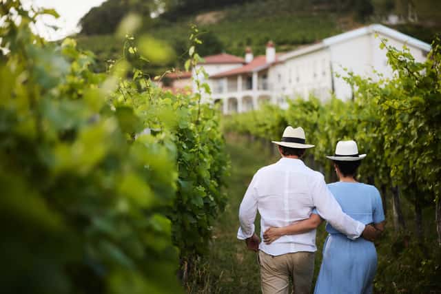 Peterc Vineyard Estate