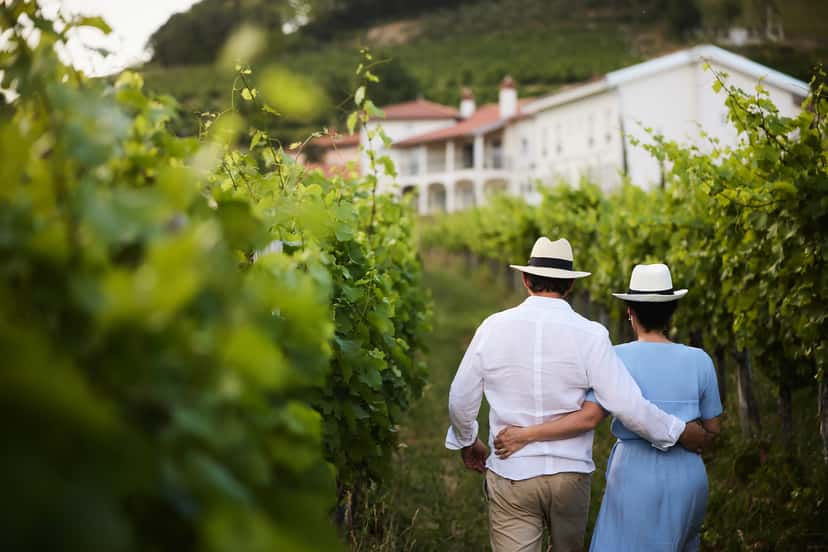 Exclusive Private Wine Tour- Tailored to your taste and wishes - Peterc Vineyard Estate