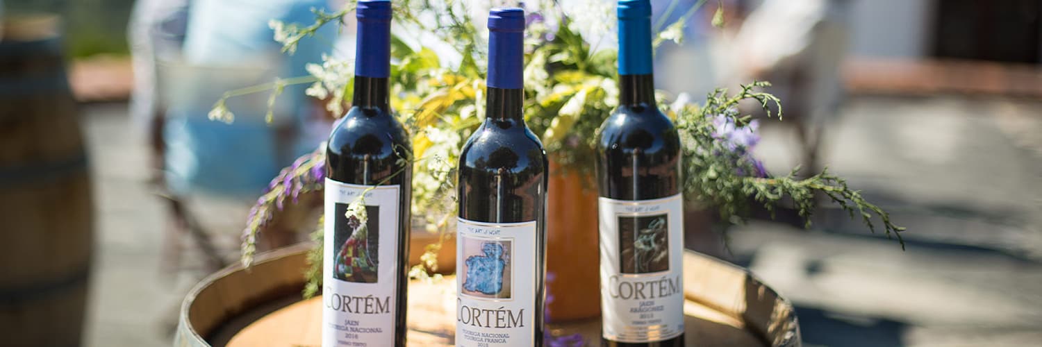 Vignobles Vinhos Cortem : apprenez la vinification, dégustez 3 vins, des olives et du pain