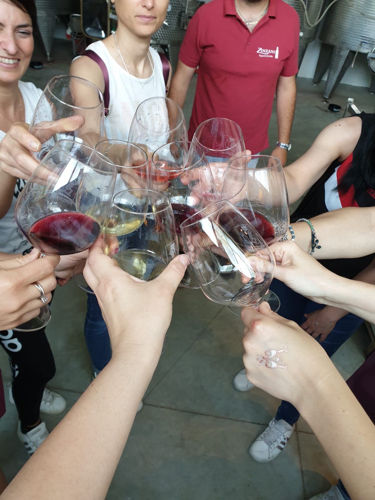 Emilia-Romagna Wine & Vineyard Tour at Zinzani