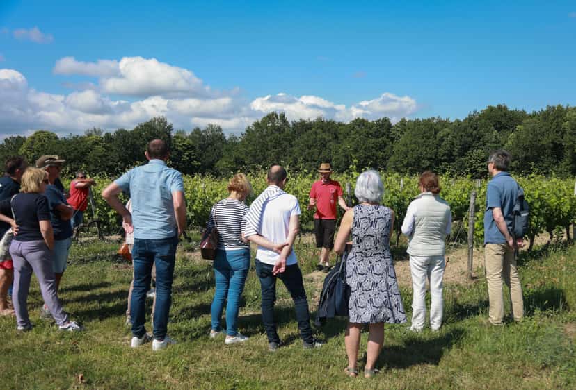 Domaine Tour och provsmakning på Domaine Poncereau de Haut