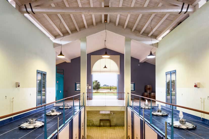 Tour and Tasting at Azienda Agricola COS