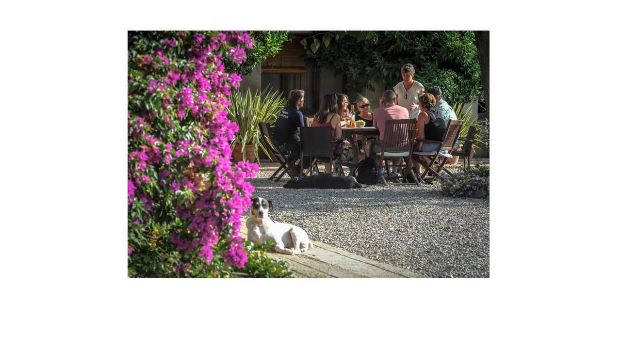 Mas Comtal Winery foto 2