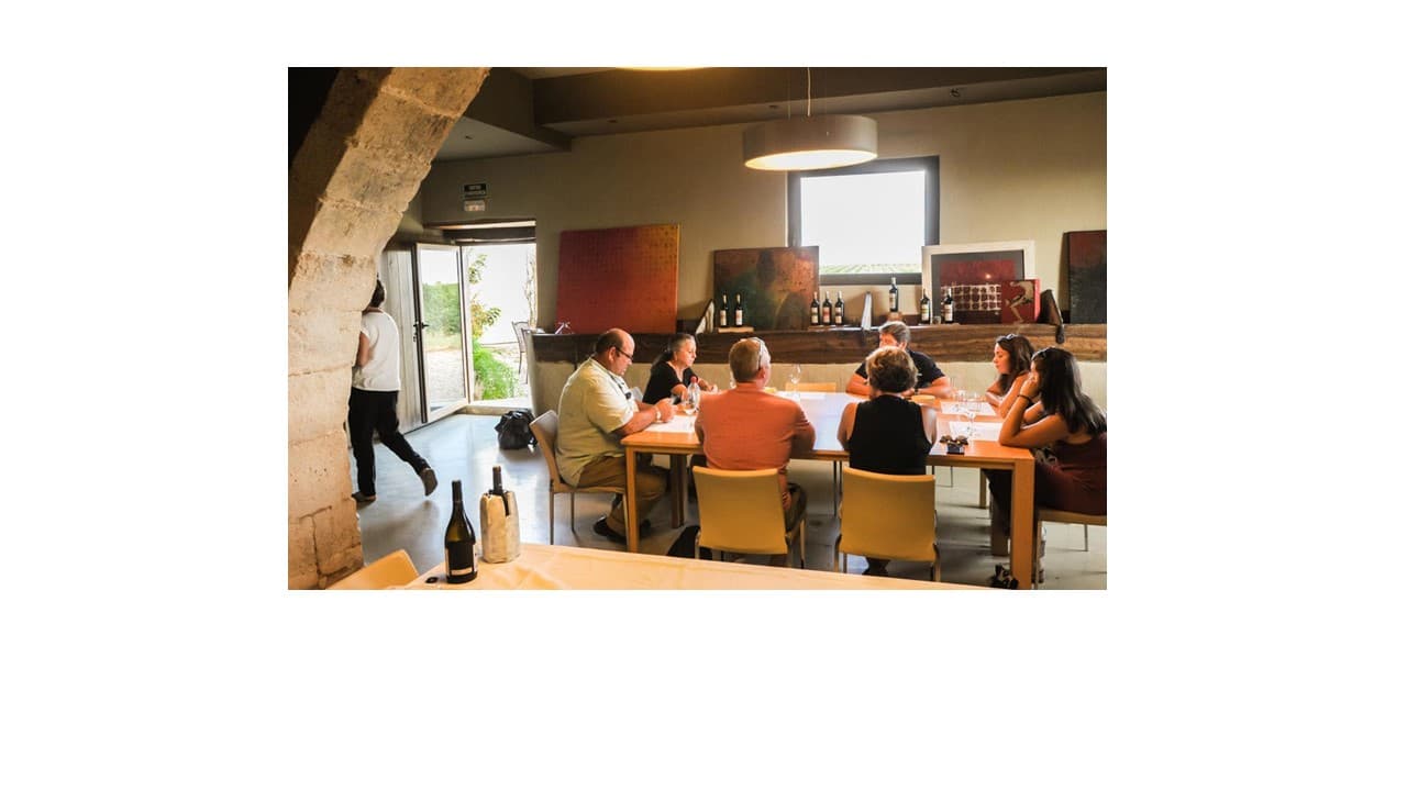 Mas Comtal Winery foto 1