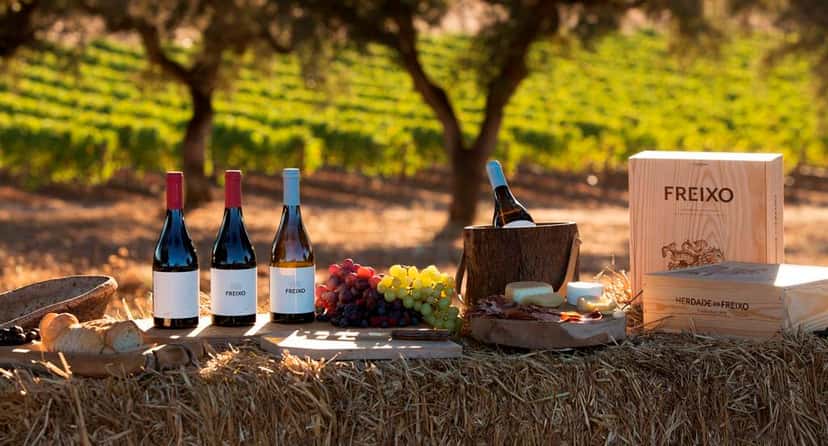 Alentejo's Freixo: Architectural Winery & Family Wines