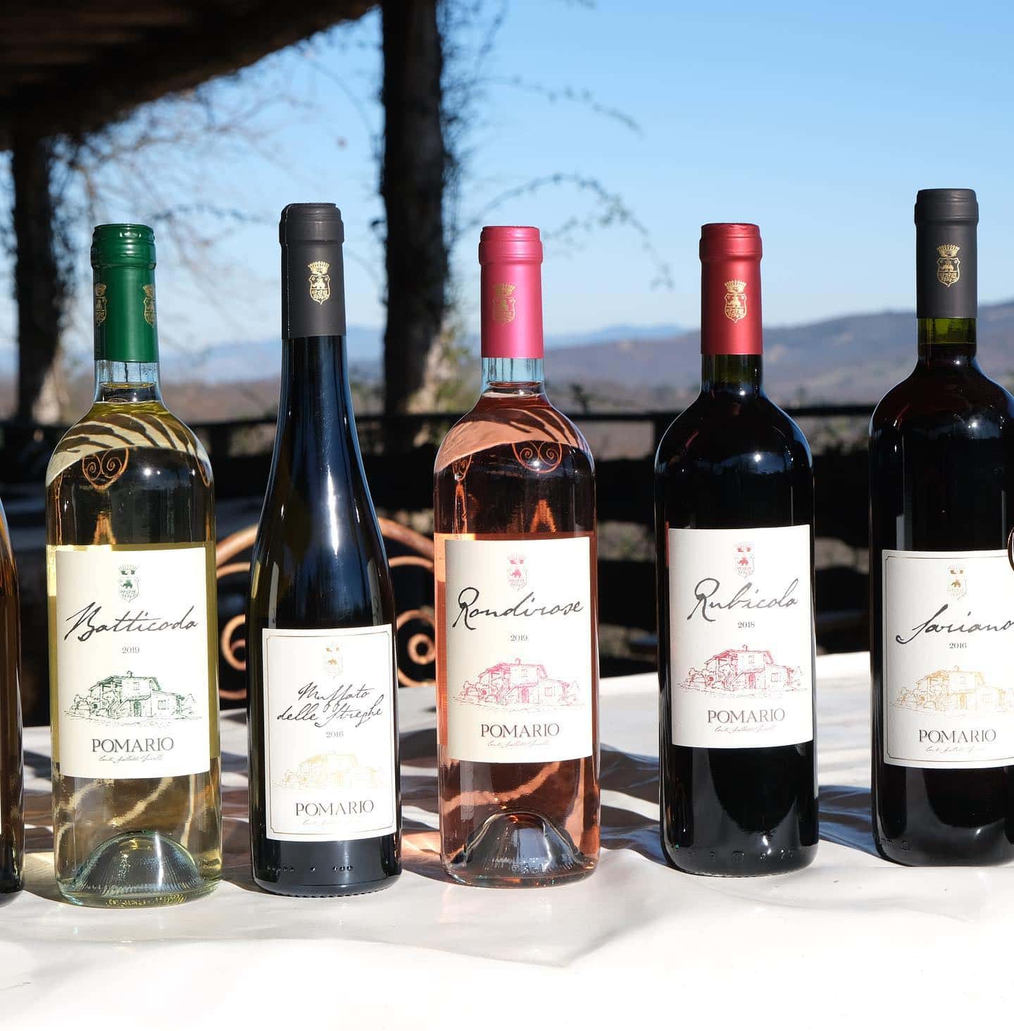 Déjeuner/Dîner gastronomique aux caves de Pomario