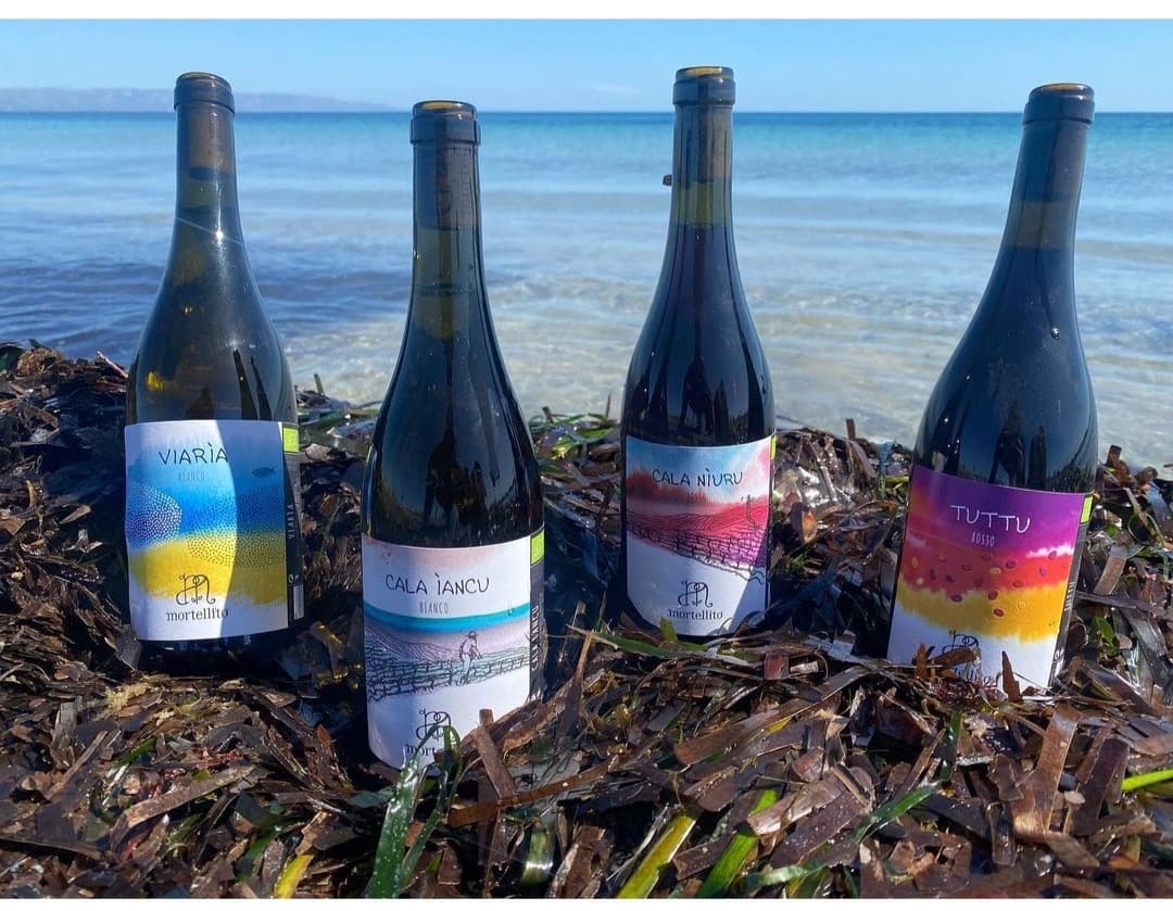 Discover Sicily’s Authentic Wine & Olive Oil Tour
