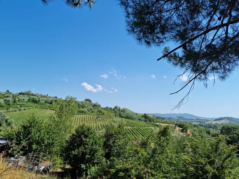 Discover Vittoria Wines & Cuisine at Catalano