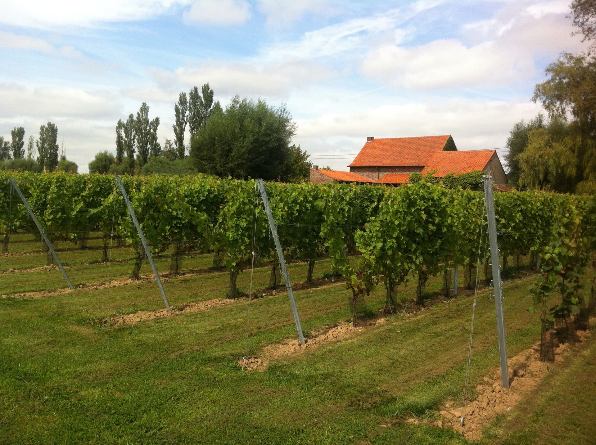 Koudekot Wijnmaker foto 1