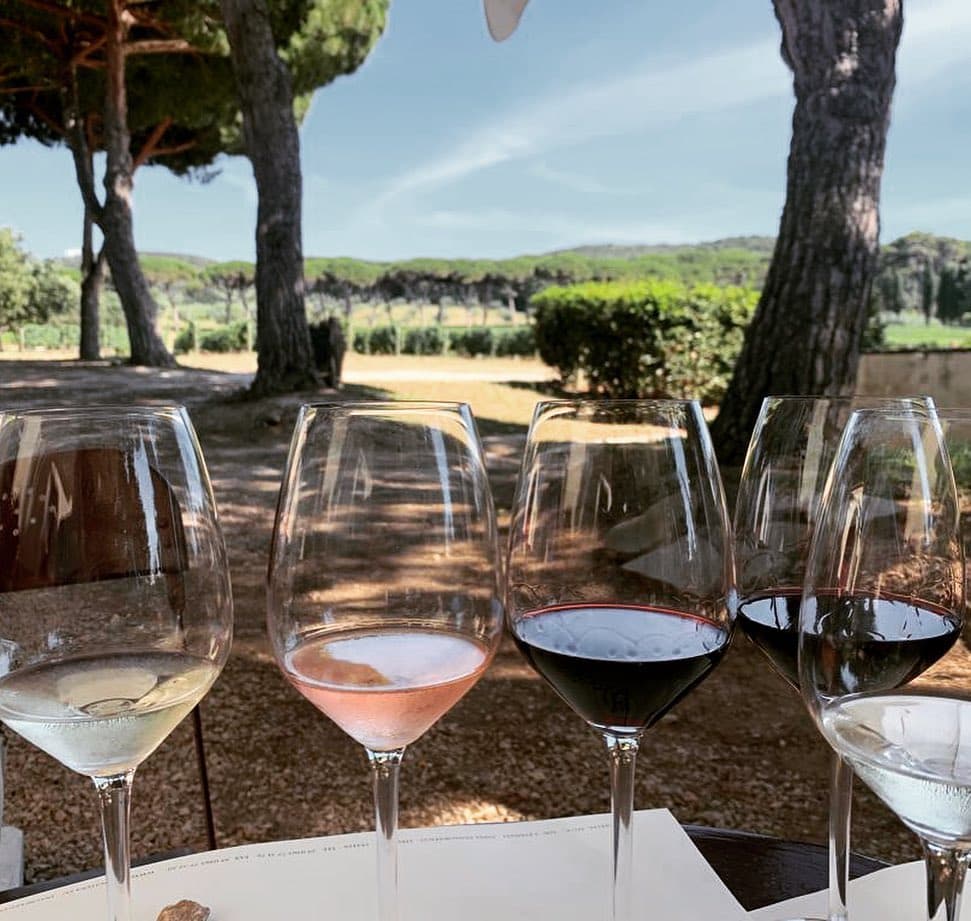 Vinprovning på Cave Les Deux Cimes