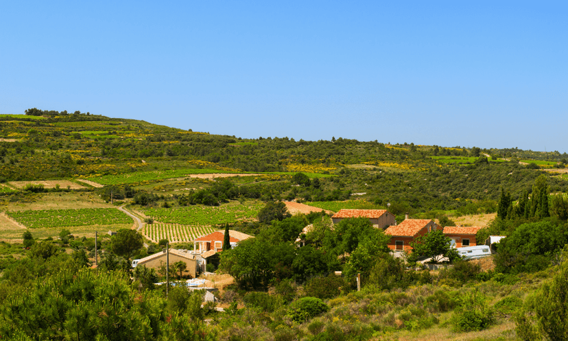 Biodynamische Weinprobe und Tour im Domaine de Malavieille