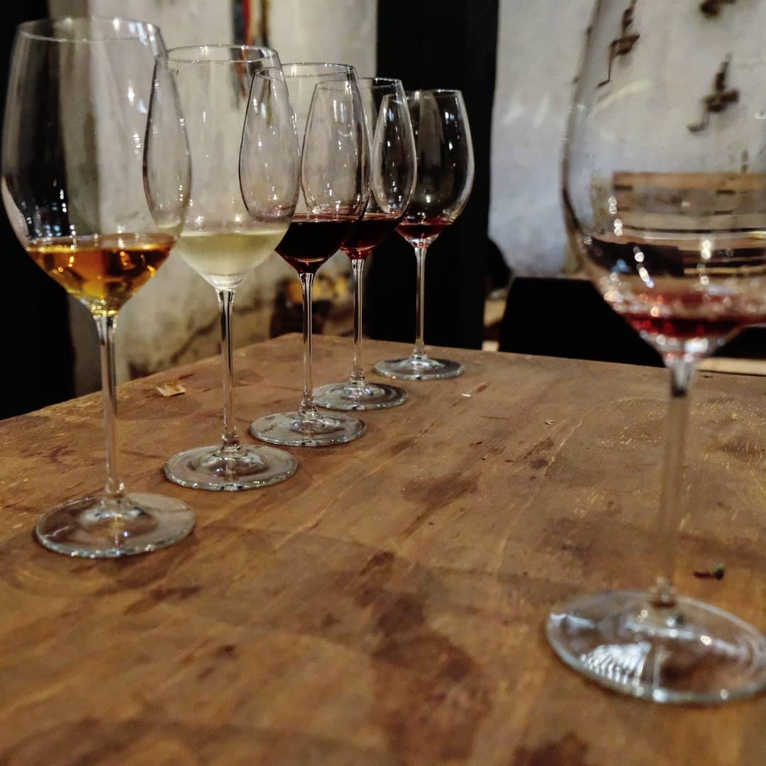 South's Sustainable Wine & Nature Tour