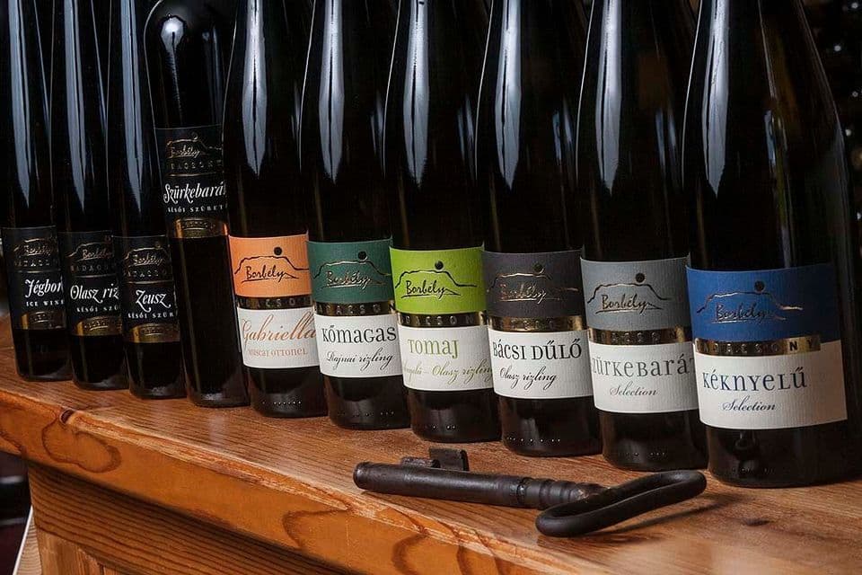 Degustazione di vini presso l'azienda vinicola della famiglia Borbély Kft.