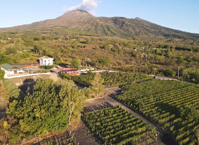 Tenuta Le Lune del Vesuvio