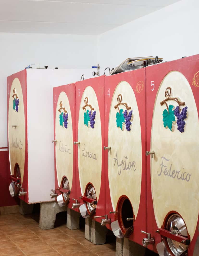 Que bela descoberta de vinhos na Tenute Fasoli Lorena