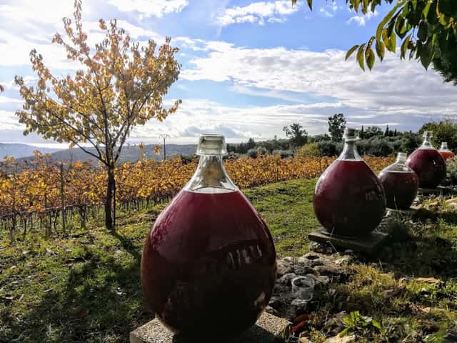 Vignoble Rasse