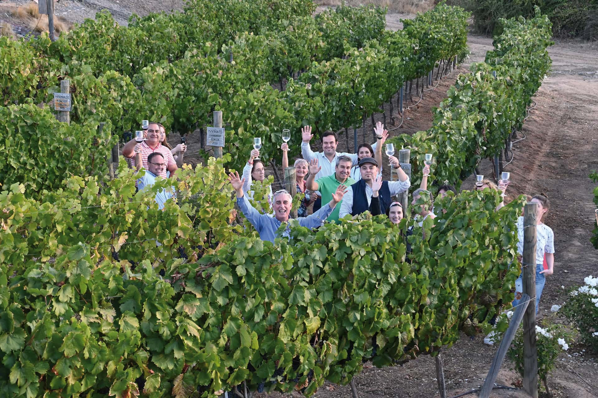 Maule Valley personalized tour: vineyards, winery, bottling…