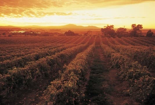 Montara Winery photo 1