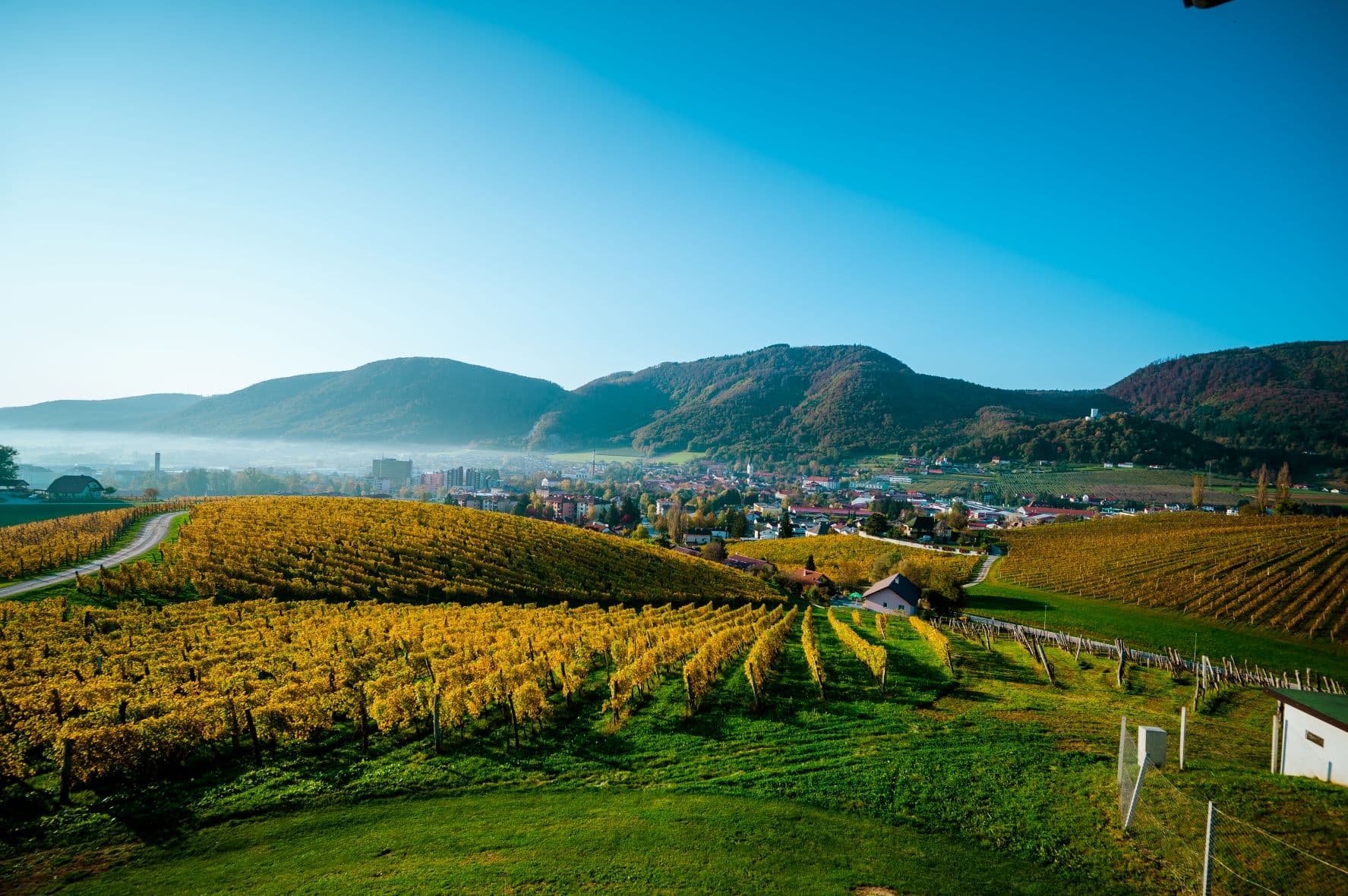 Experience & Explore the Zlati Grič Estate