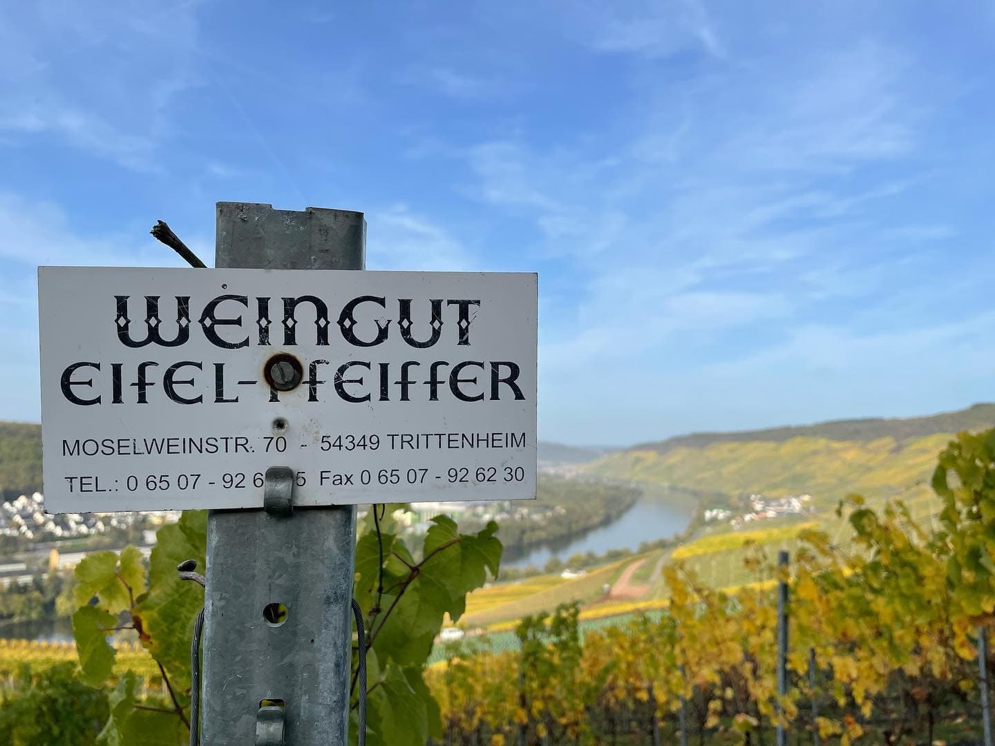 Dégustation de vins au Weingut Eifel-Pfeiffer