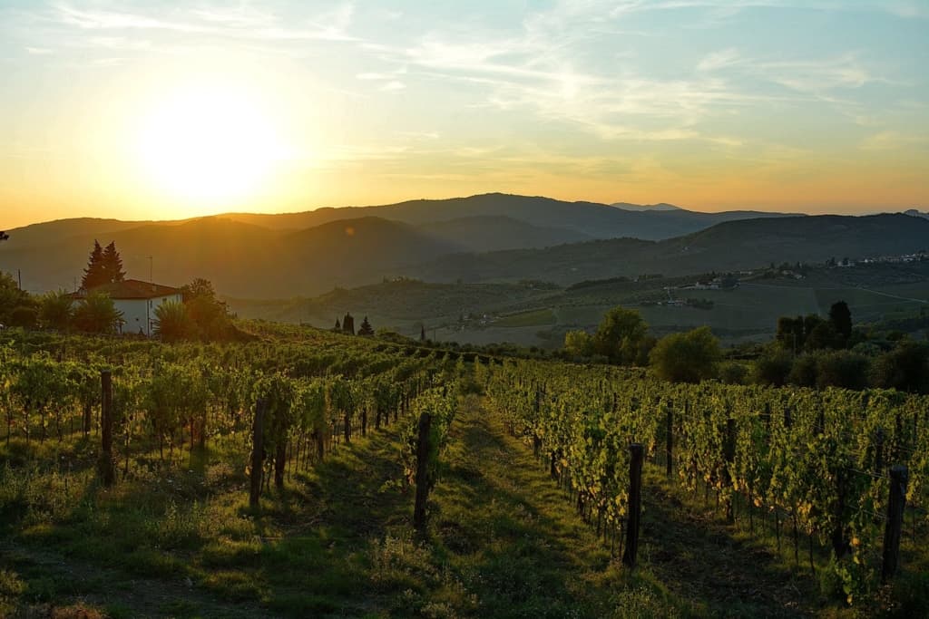 Fattoria Lavacchio foto 4
