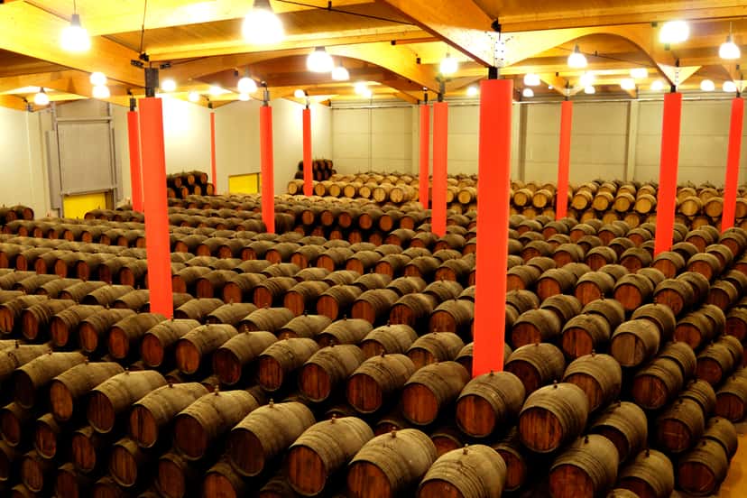 Visita guidata e degustazione di vini alle Bodegas Malaga Virgen, abbinate a delizie locali