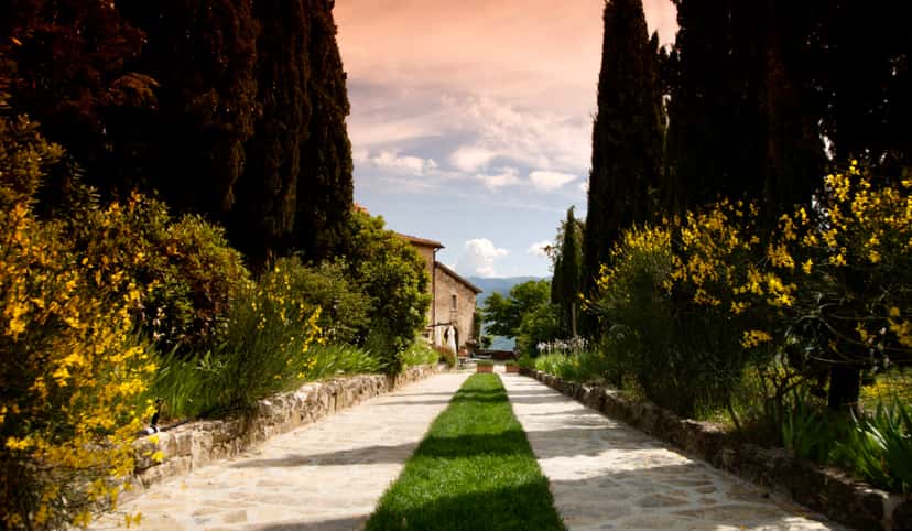 Tour de la bodega con cena degustación en la Fattoria Lavacchio