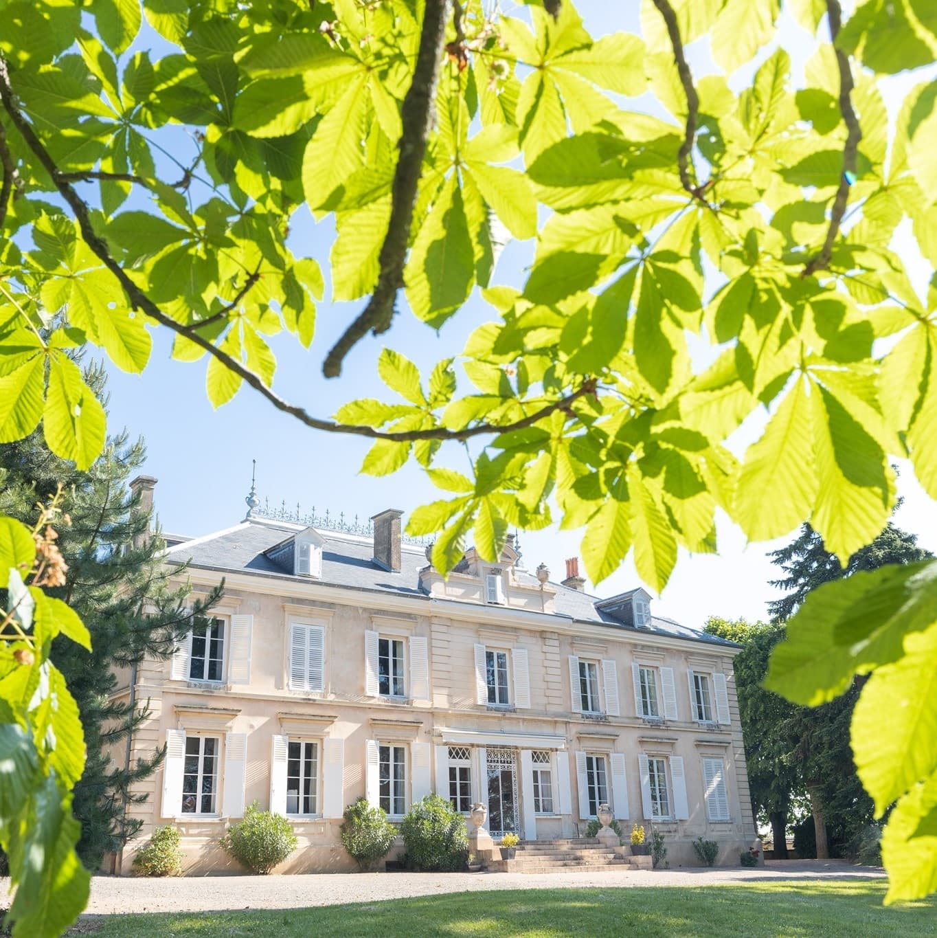 Château des Ravatys: A Historic Winery in Beaujolais foto 2