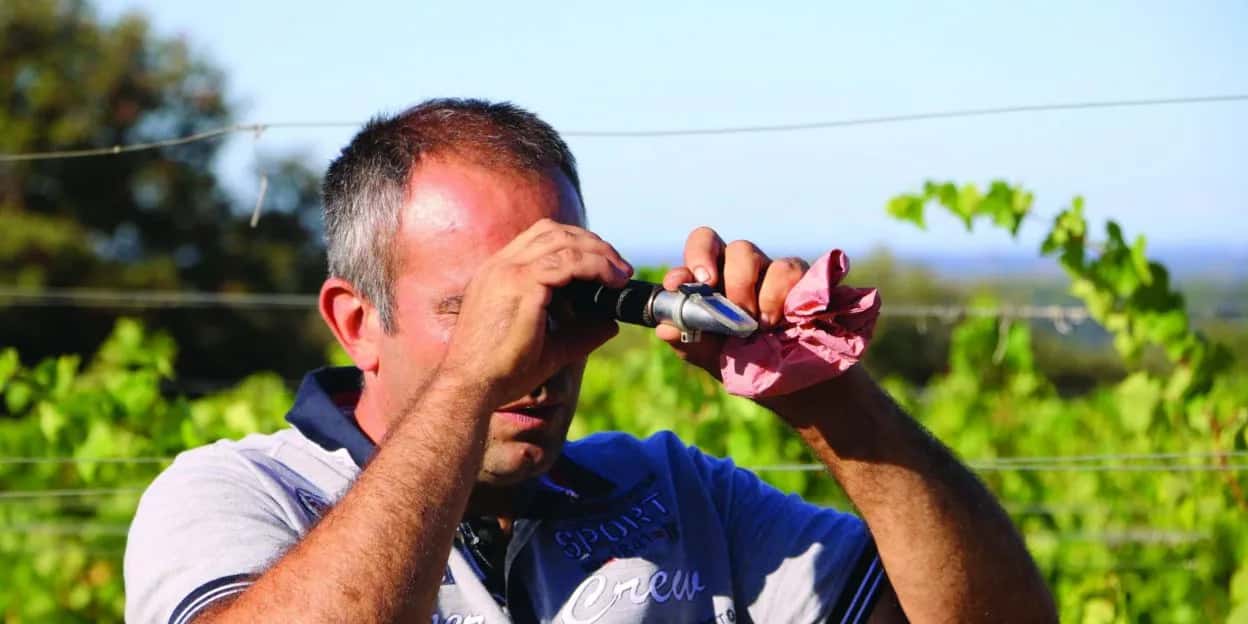 Weinprobe und Führung im Château Haut-Blanville