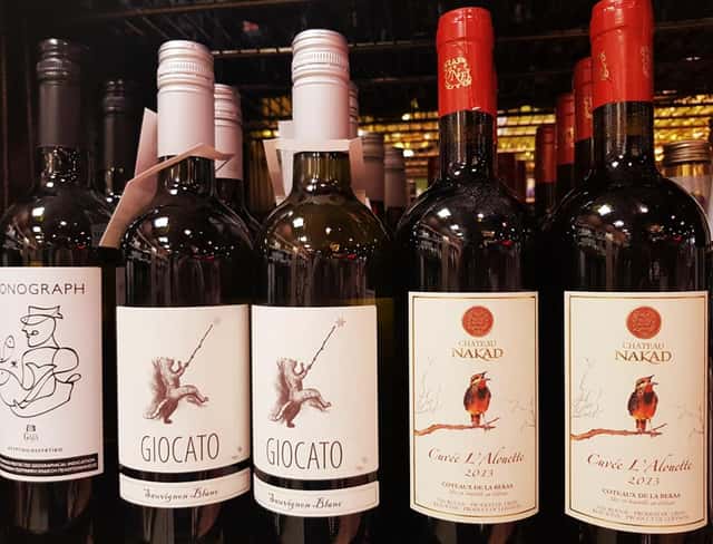 Chateau Nakad