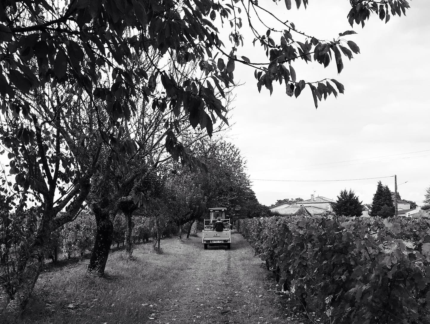Clos Monicord foto 1