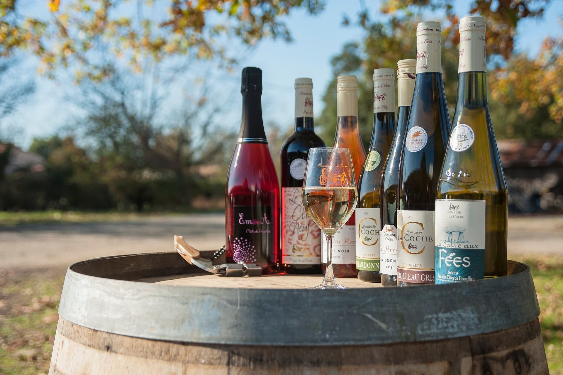 Wine Tasting and Tour at Domaine de la Coche