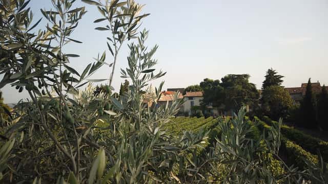 Domaine de la Senche