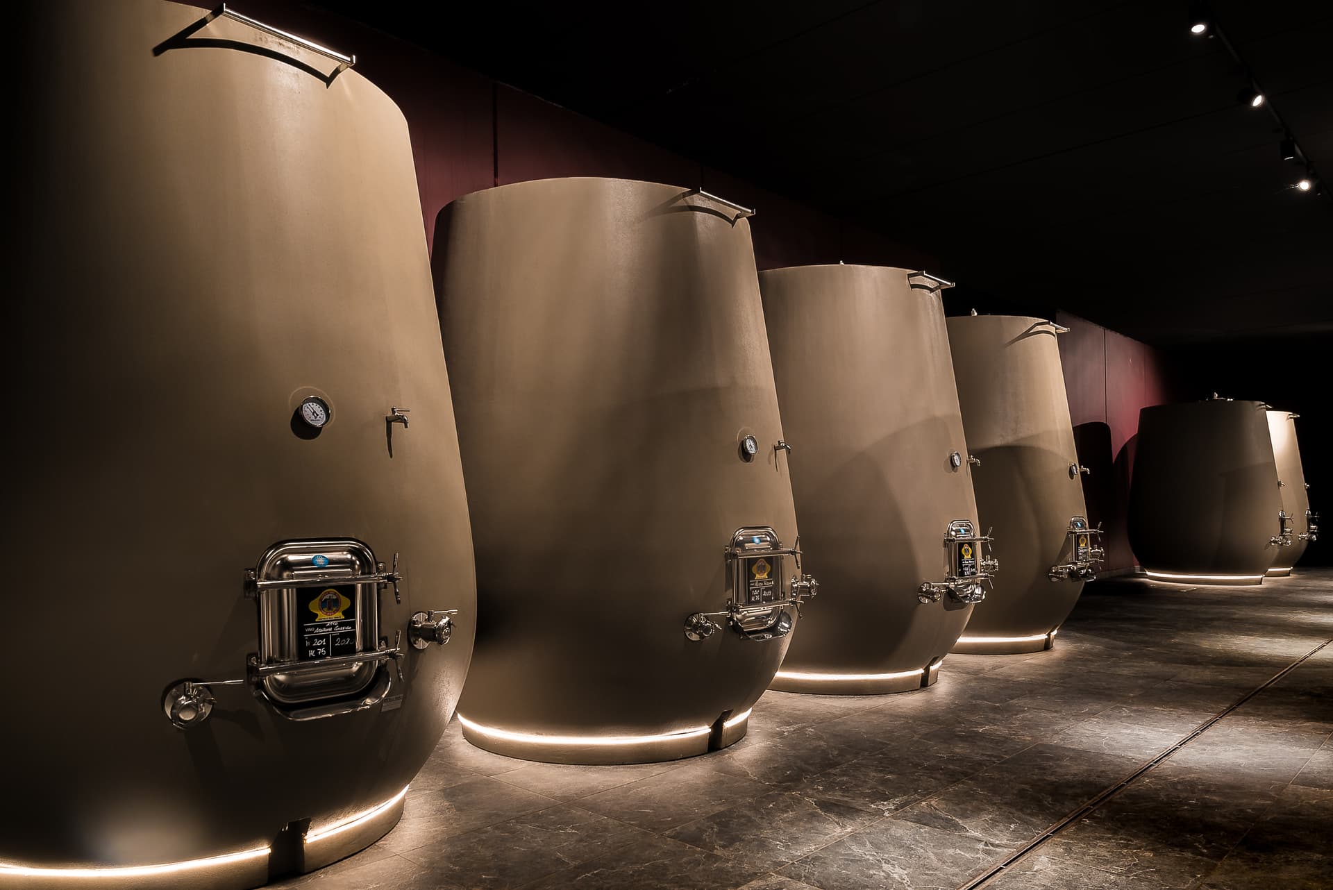 Veneto Vineyard & Winemaking Journey