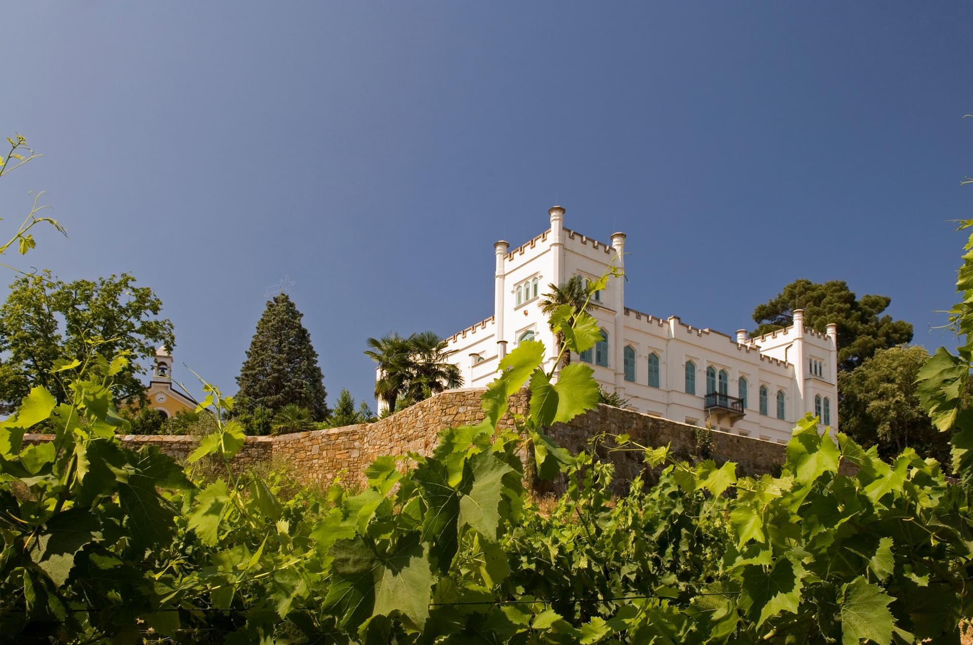 Visita guiada à Fundação Villa Russiz