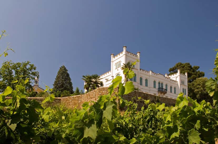 Visita guiada à Fundação Villa Russiz