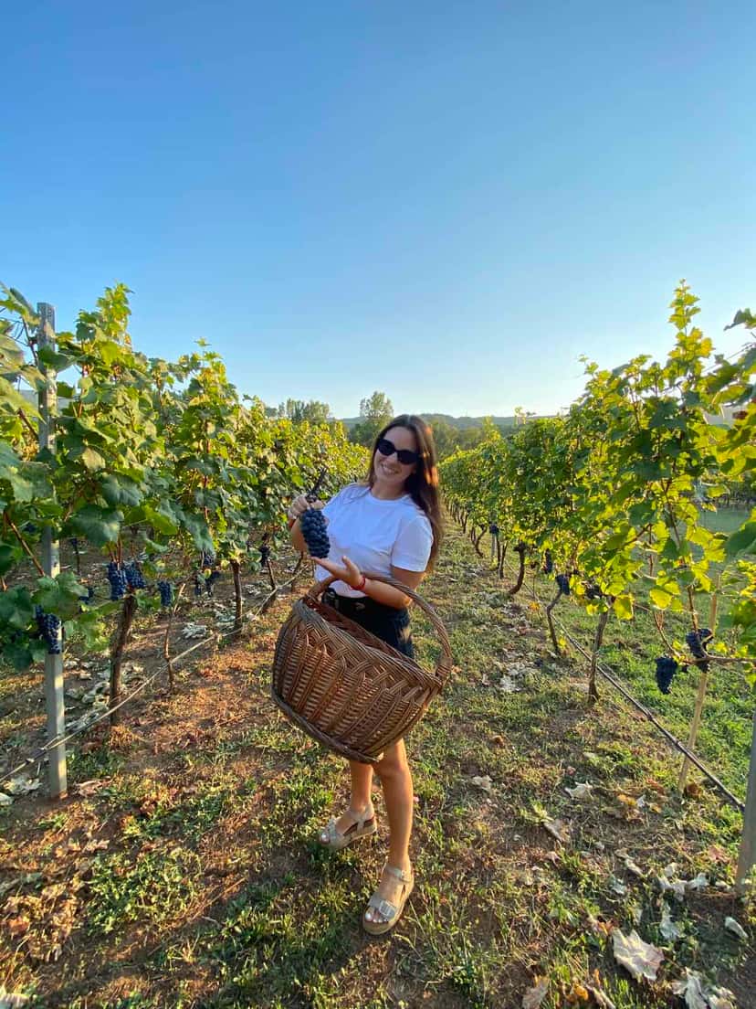 Purple Eye Estate Camp & Winery (Jokaš)