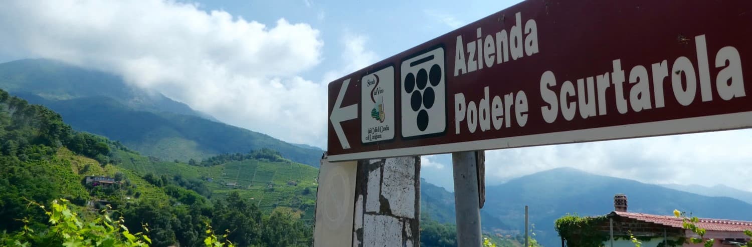Podere Scurtarola foto 2