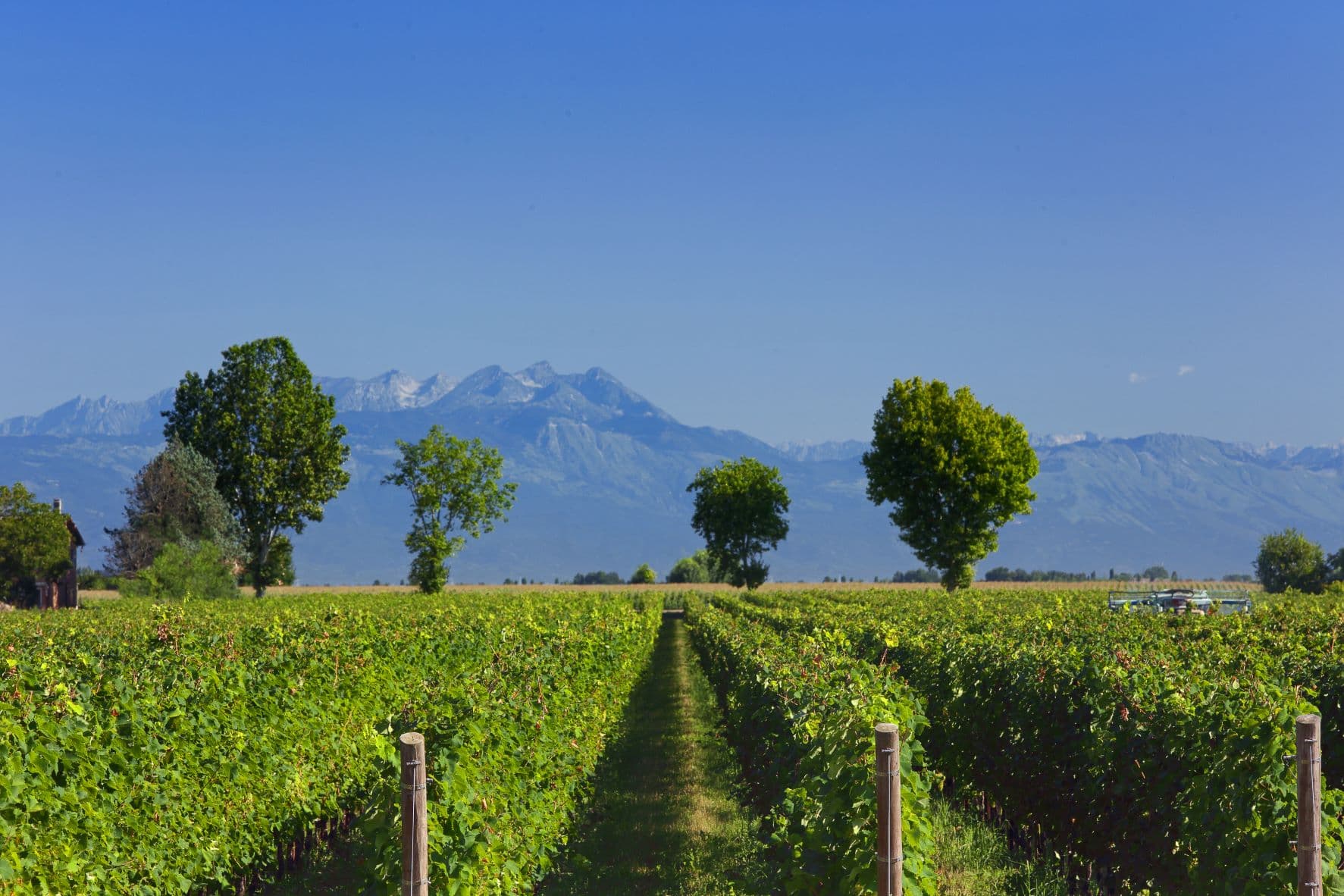 Tour Hemingwine Grand Cru Courmet - Frühere Jahrgänge