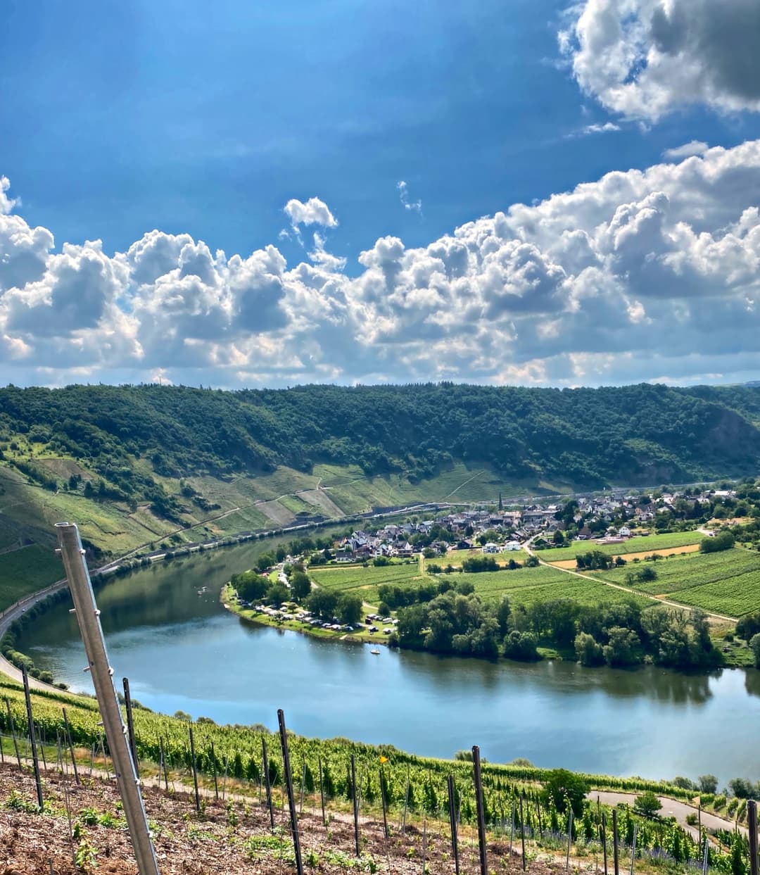 Virages en demi-cercle de la Moselle