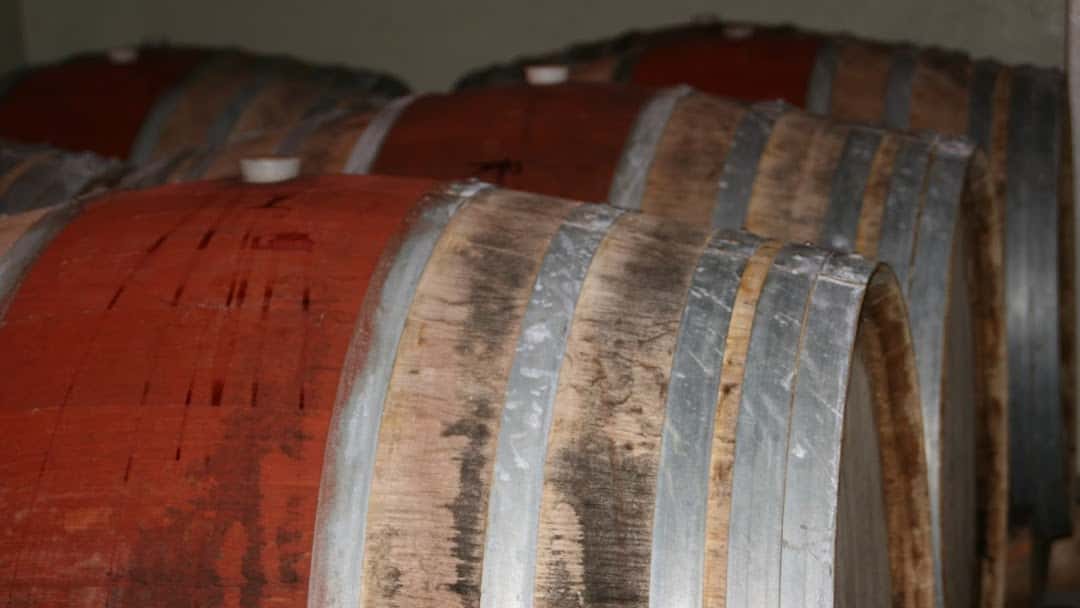 Degustazione di 4 vini e visita a Mulleri