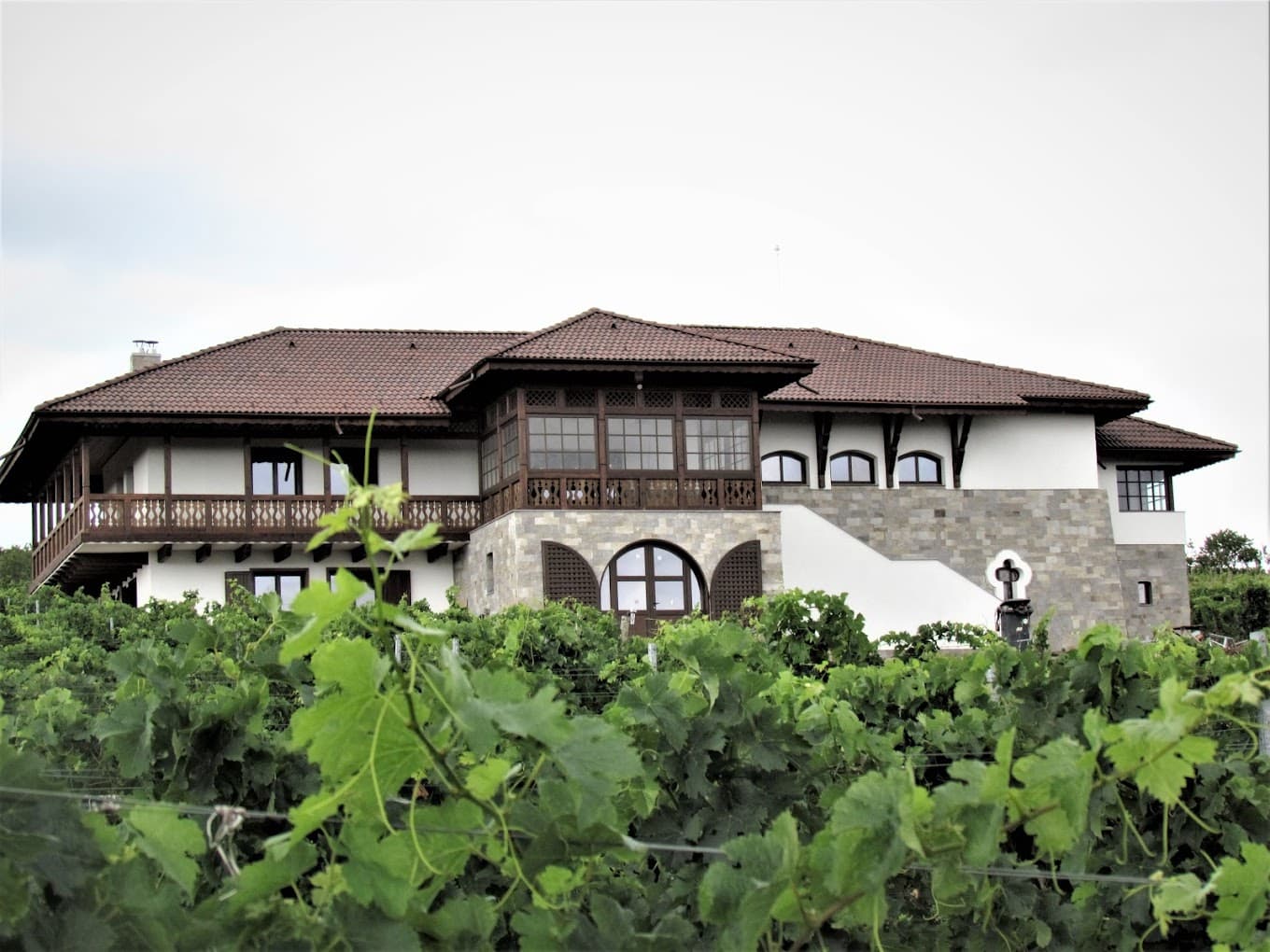 Davino Winery photo 1