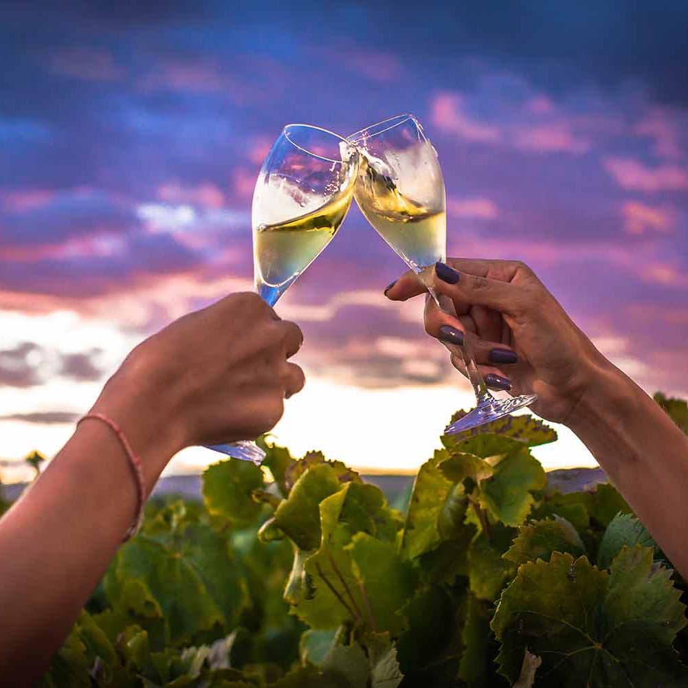 Catalonia's Nadal: Rosé & Cellar Discovery