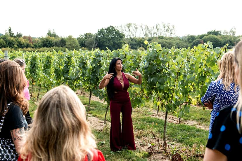 Sussex Vineyard Tour & Tasting with Winemakers