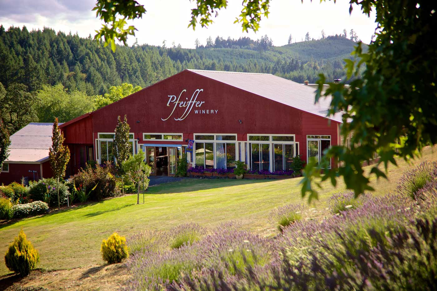 Pfeiffer Wines Foto 1