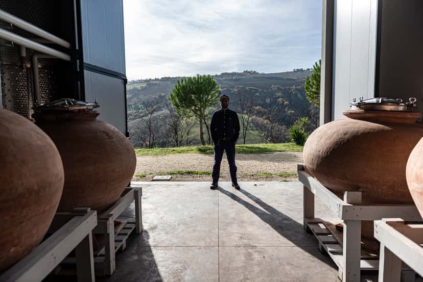 Degustação exclusiva de vinhos na Cirelli Wines