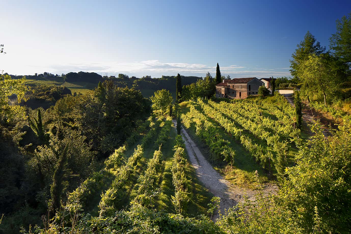 Tour HemingWine Grand Cru Gourmet im Weingut De Stefani