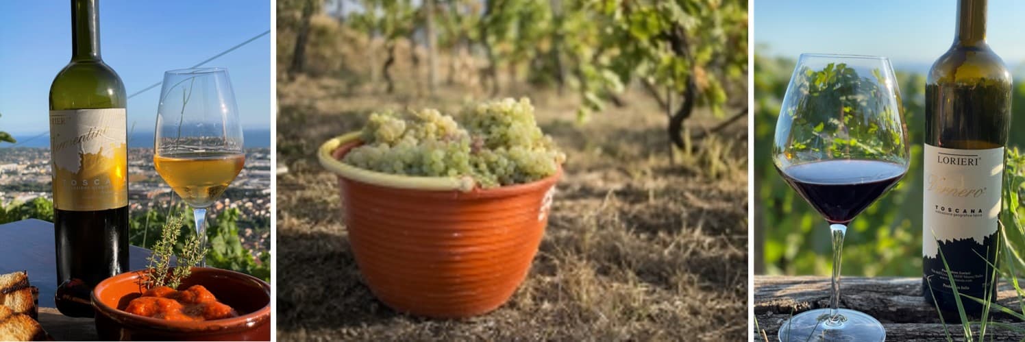 Podere Scurtarola foto 1